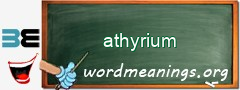 WordMeaning blackboard for athyrium